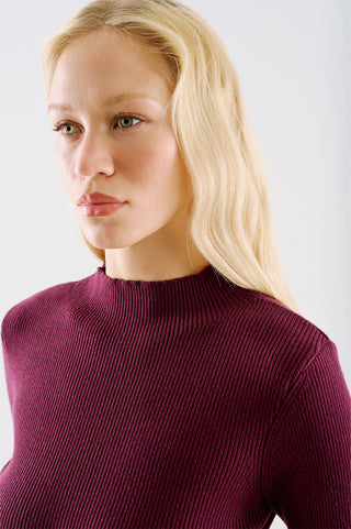 Turtleneck Knit Top Burgundy