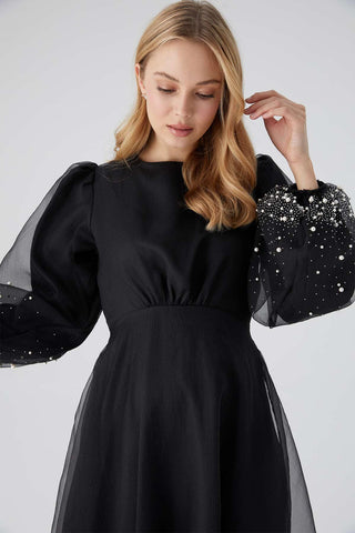 Organza Stone Embroidered Evening Dress Black
