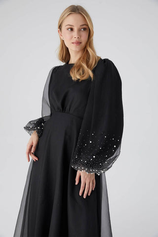 Organza Stone Embroidered Dress Black