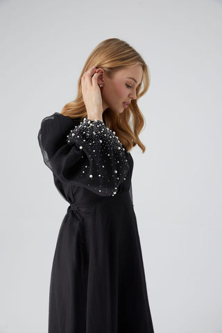 Organza Stone Embroidered Dress Black