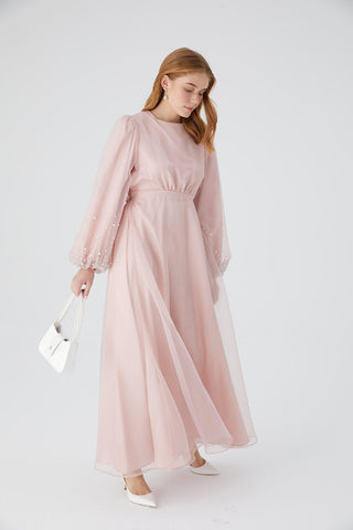 Organza Stone Embroidered Evening Dress Powder