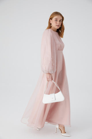 Organza Stone Embroidered Evening Dress Powder