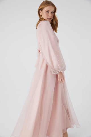 Organza Stone Embroidered Evening Dress Powder