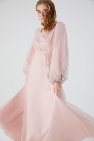 Organza Stone Embroidered Evening Dress Powder