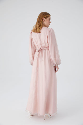 Organza Stone Embroidered Evening Dress Powder