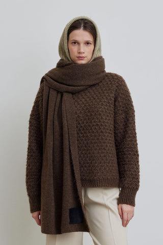 Soft Cozy Scarf Brown