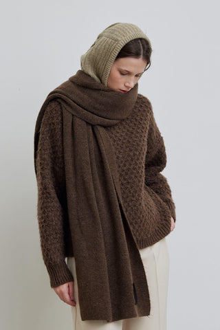 Soft Cozy Scarf Brown