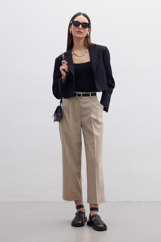 Straight Fit Single Pleated Trousers Beige