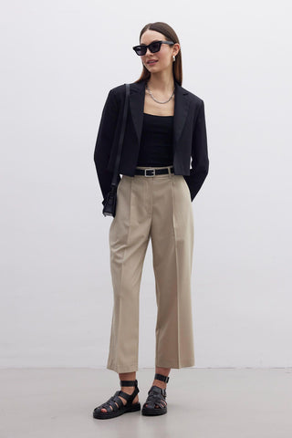 Straight Fit Single Pleated Trousers Beige