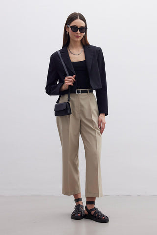 Straight Fit Single Pleated Trousers Beige