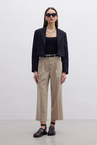 Straight Fit Single Pleated Trousers Beige