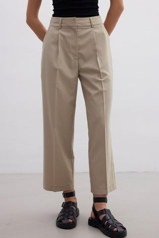 Straight Fit Single Pleated Trousers Beige