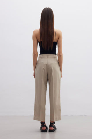 Straight Fit Single Pleated Trousers Beige