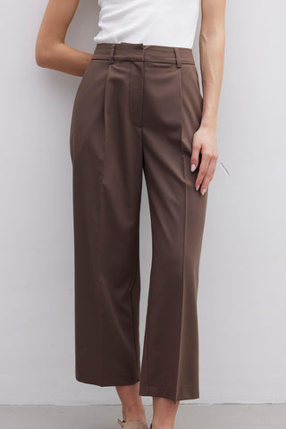 Straight Fit Single Pleated Trousers Brown