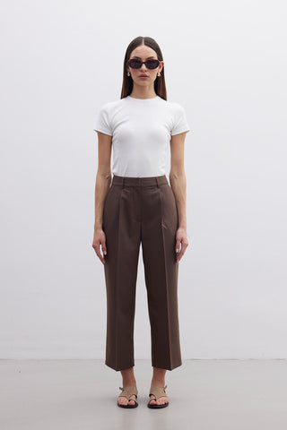 Straight Fit Single Pleated Trousers Brown