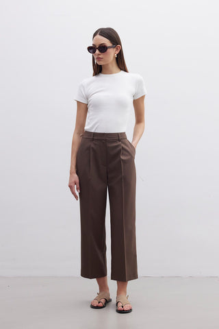 Straight Fit Single Pleated Trousers Brown