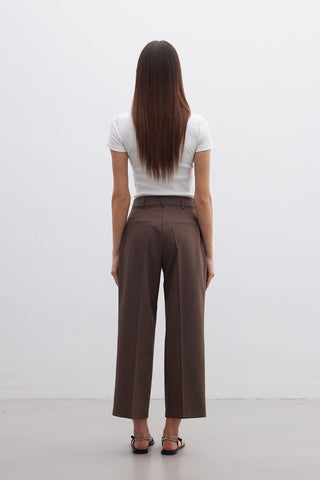 Straight Fit Single Pleated Trousers Brown