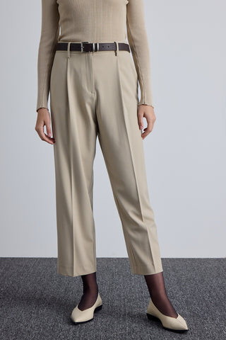 Classic Pleated Pants Beige