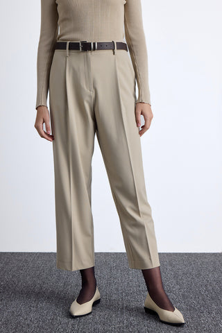 Classic Pleated Pants Beige