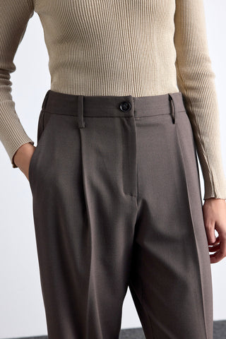 Classic Pleated Pants Mink