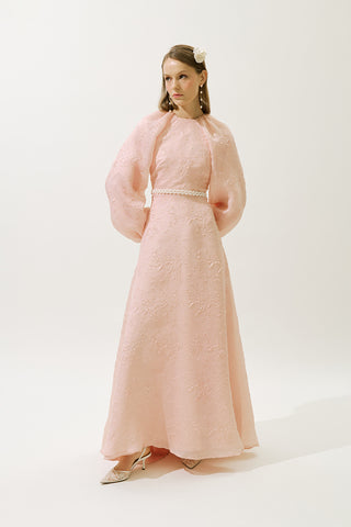 Jacquard Organza Evening Dress Powder