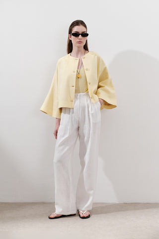 Pleated Wide-Leg Linen Trousers Ecru