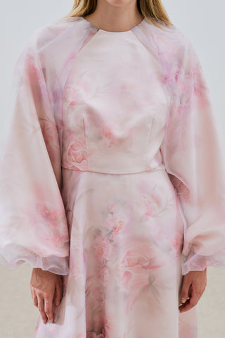 Ulla Patterned Organza Evening Dress Powder