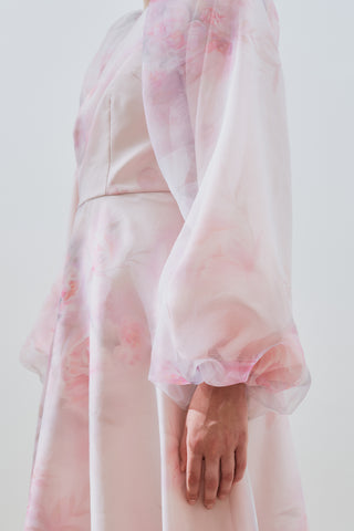 Ulla Patterned Organza Evening Dress Powder