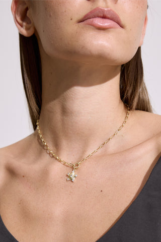 Zircon Star Necklace Standard