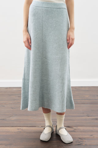 Knit Flared Skirt Blue