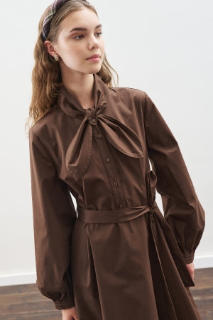 Tie Neck Dress Brown